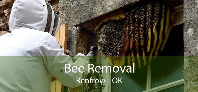 Bee Removal Renfrow - OK