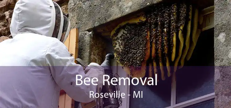 Bee Removal Roseville - MI