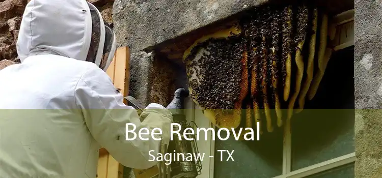 Bee Removal Saginaw - TX