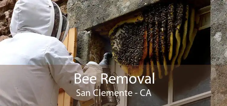 Bee Removal San Clemente - CA