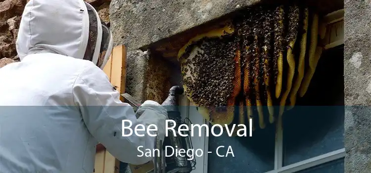Bee Removal San Diego - CA