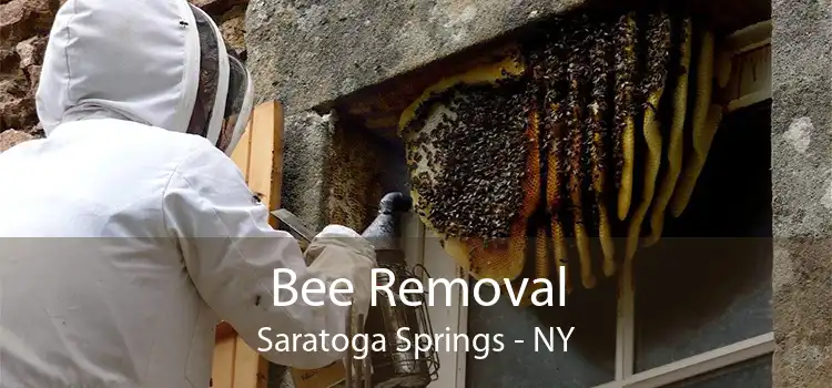 Bee Removal Saratoga Springs - NY