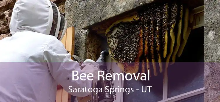 Bee Removal Saratoga Springs - UT