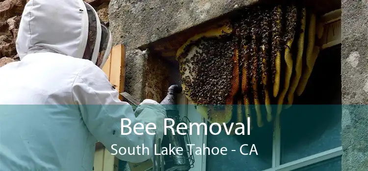 Bee Removal South Lake Tahoe - CA