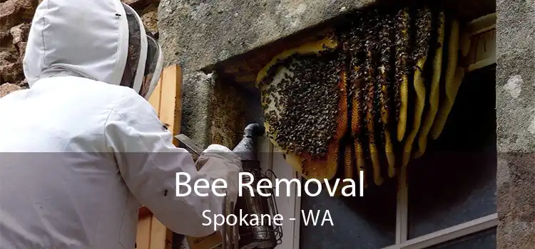 Bee Removal Spokane - WA