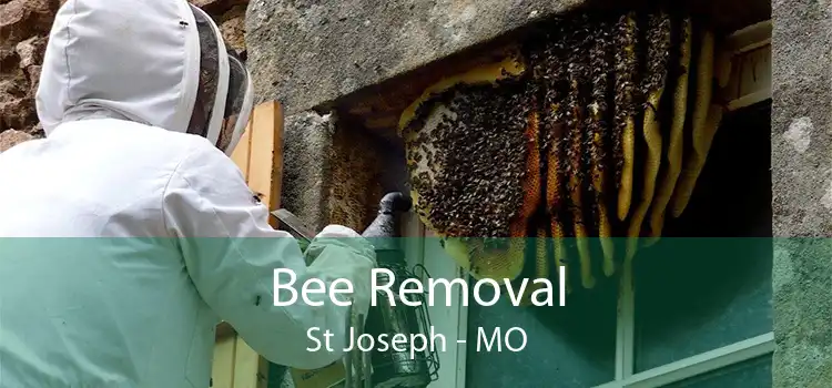 Bee Removal St Joseph - MO