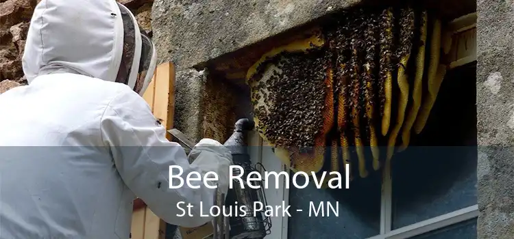Bee Removal St Louis Park - MN