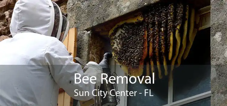 Bee Removal Sun City Center - FL