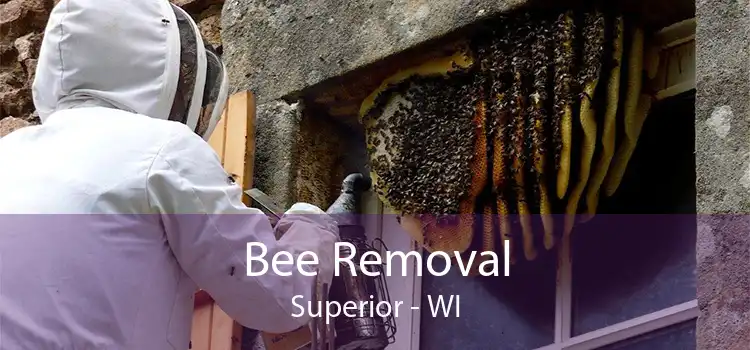 Bee Removal Superior - WI