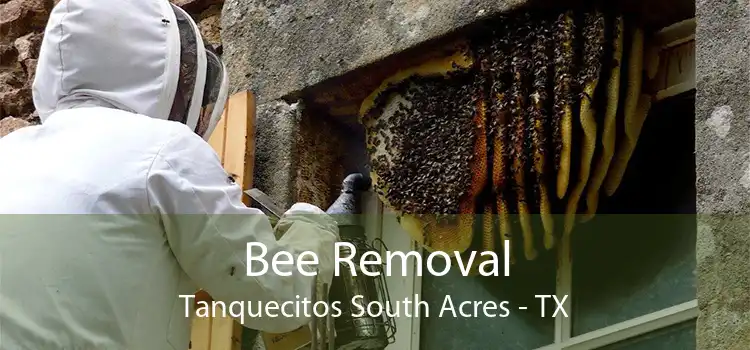 Bee Removal Tanquecitos South Acres - TX