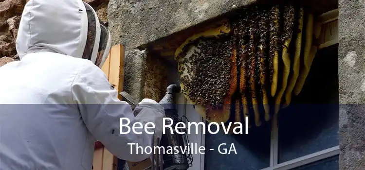 Bee Removal Thomasville - GA