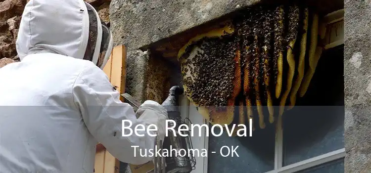 Bee Removal Tuskahoma - OK