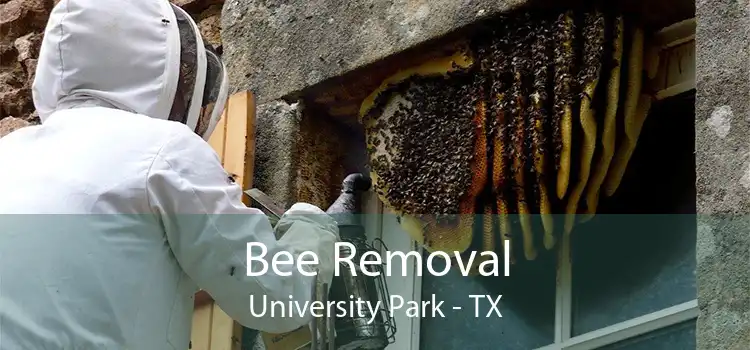 Bee Removal University Park - TX