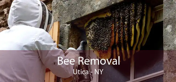 Bee Removal Utica - NY