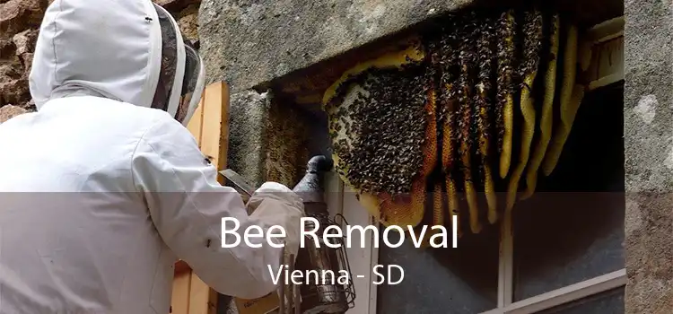 Bee Removal Vienna - SD