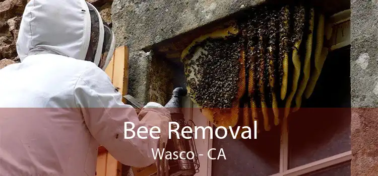 Bee Removal Wasco - CA