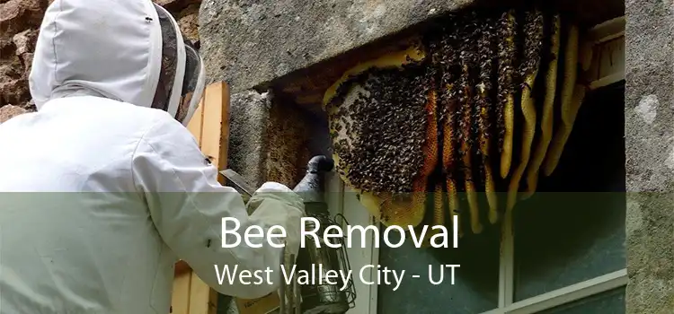 Bee Removal West Valley City - UT