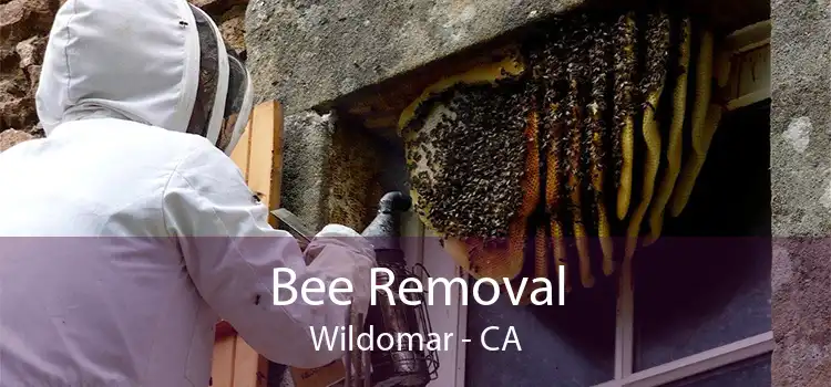 Bee Removal Wildomar - CA