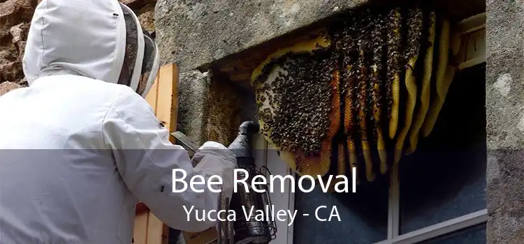 Bee Removal Yucca Valley - CA