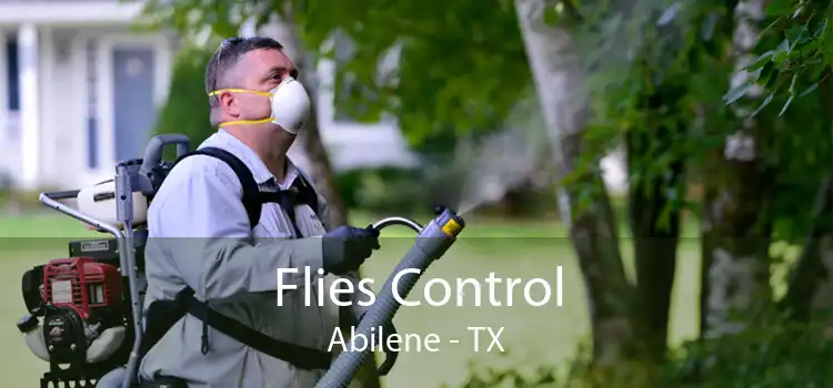 Flies Control Abilene - TX