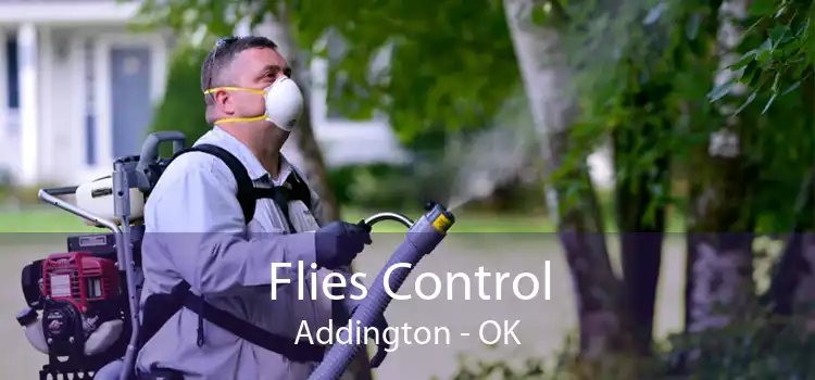 Flies Control Addington - OK