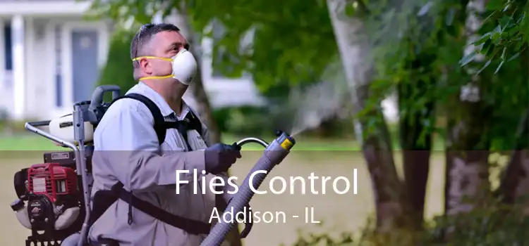 Flies Control Addison - IL