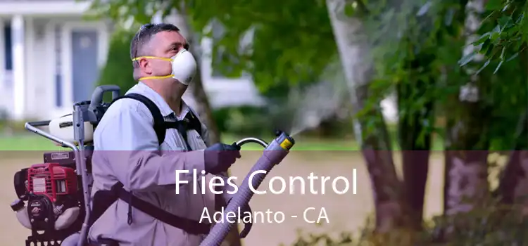 Flies Control Adelanto - CA