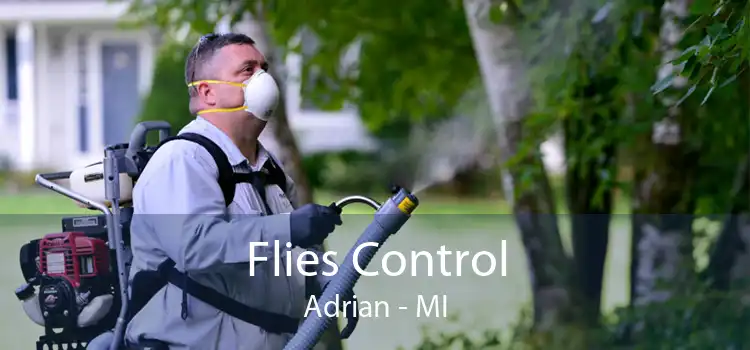 Flies Control Adrian - MI