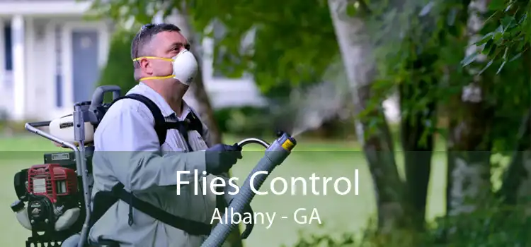 Flies Control Albany - GA