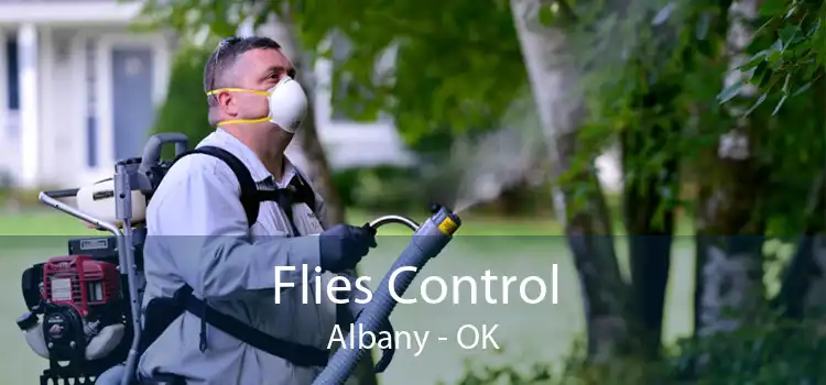 Flies Control Albany - OK