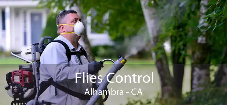 Flies Control Alhambra - CA