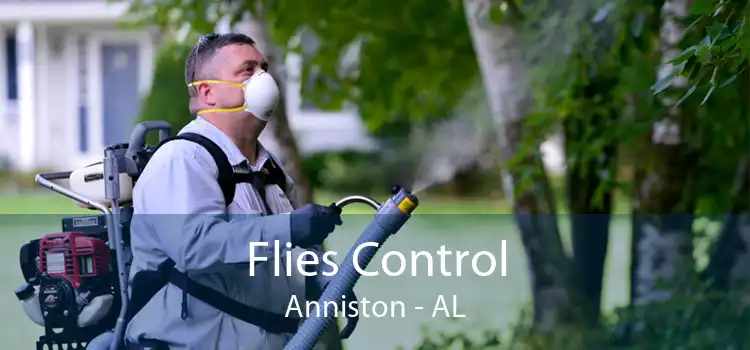 Flies Control Anniston - AL