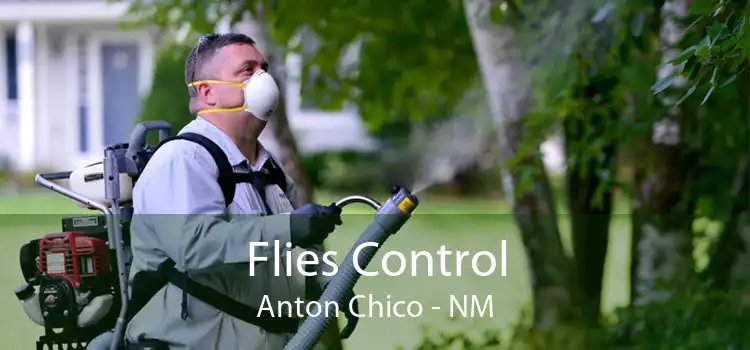 Flies Control Anton Chico - NM