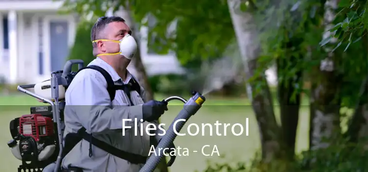 Flies Control Arcata - CA
