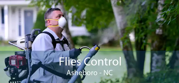 Flies Control Asheboro - NC