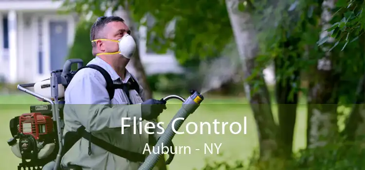 Flies Control Auburn - NY