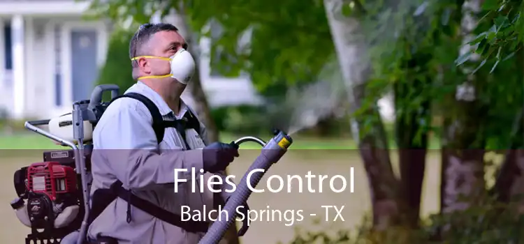 Flies Control Balch Springs - TX