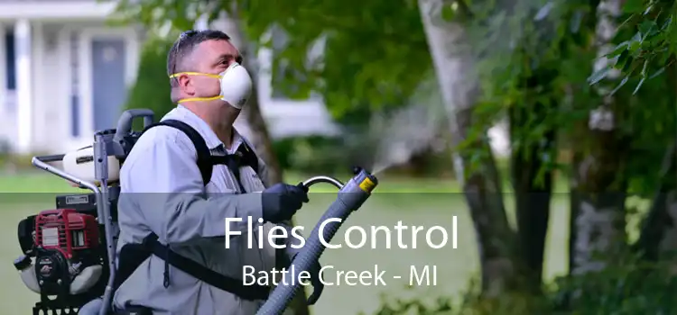 Flies Control Battle Creek - MI