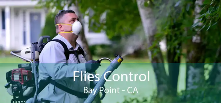 Flies Control Bay Point - CA