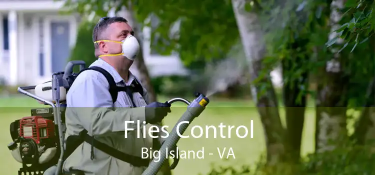 Flies Control Big Island - VA
