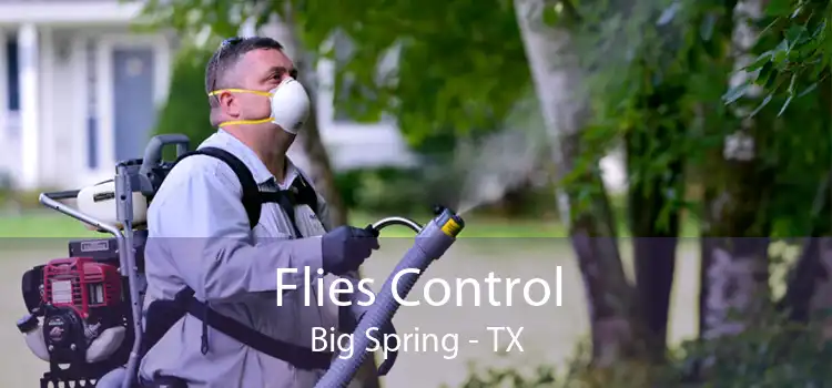 Flies Control Big Spring - TX