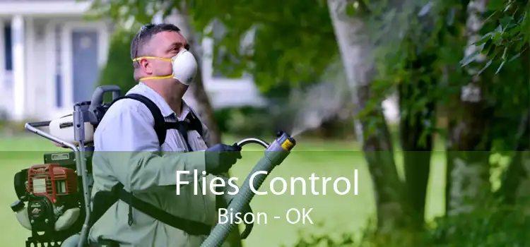 Flies Control Bison - OK