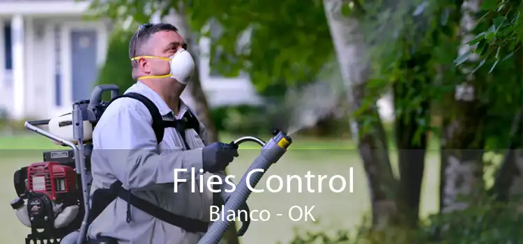 Flies Control Blanco - OK