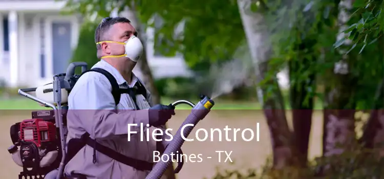 Flies Control Botines - TX