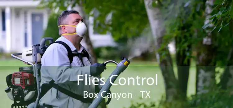 Flies Control Box Canyon - TX