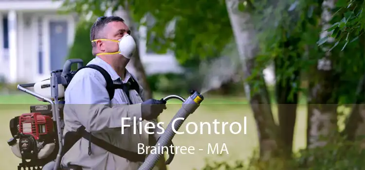 Flies Control Braintree - MA