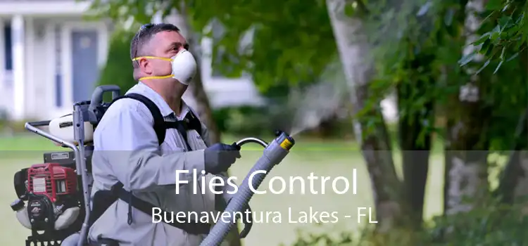 Flies Control Buenaventura Lakes - FL