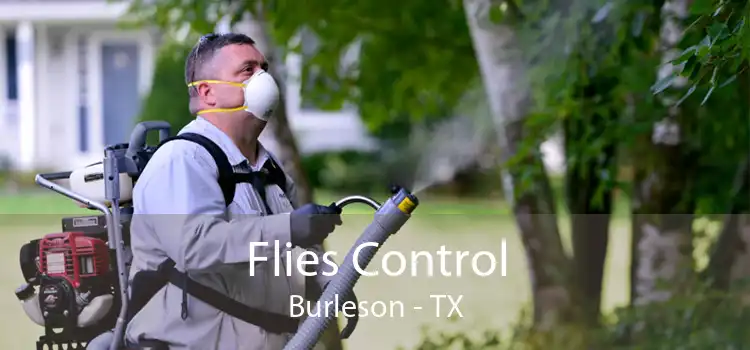 Flies Control Burleson - TX