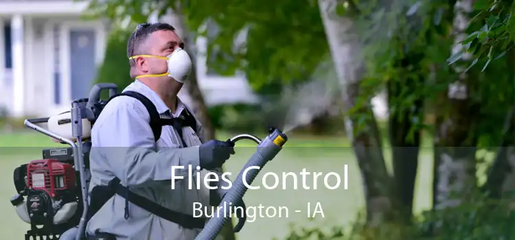 Flies Control Burlington - IA