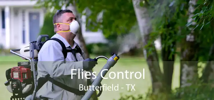 Flies Control Butterfield - TX